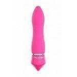 Evolved - Bottle Rockets - Pink Apollo