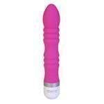 Evolved - Silicone Desire