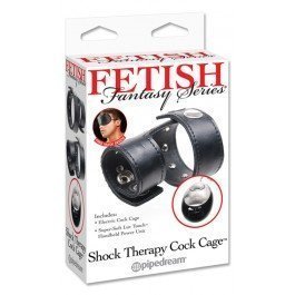 Fetish Fantasy Series Shock Therapy Cock Cage