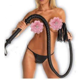 Long Leather Whip