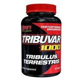 Tribuvar 1000 180kps Testosteronitason Ja Potenssin Parantaja